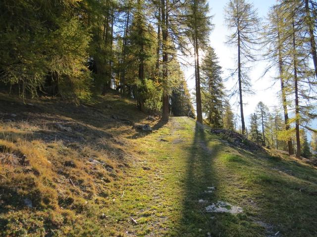 ...um danach bei Punkt 1971 m.ü.M. in den Wald einzutauchen