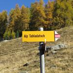 ...mit Wegweiser zur Alp Tabladatsch