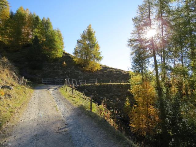 wir bleiben auf dem Strässchen und  wandern weiter Richtung Valmorain