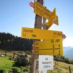 Wegweiser bei der Alp Tabladatsch 2245 m.ü.M.