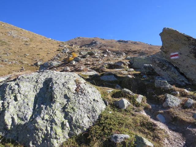 der Wanderweg ist weiterhin gut markiert...