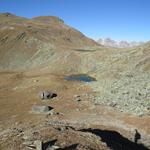 Blick zurück zur Weggabelung und Bergsee kurz unterhalb der Fuorcla Sassalba