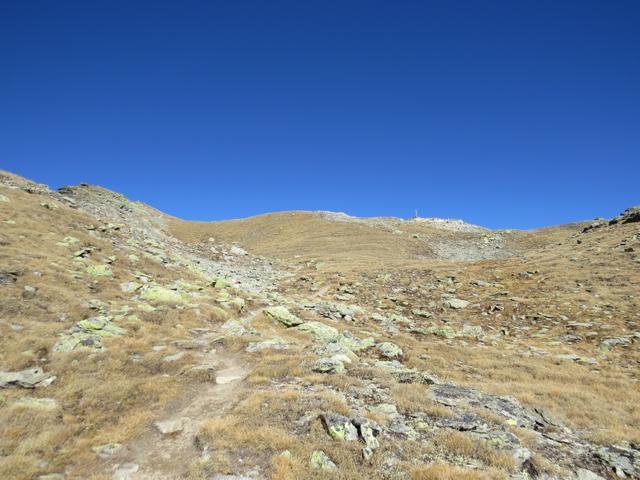 ...und erreichen kurz danach das weitläufige Gipfelplateau des Piz Terza 2908 m.ü.M.
