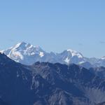 wir erkennen sogar das Berninamassiv mit Crast'Agüzza, Piz Bernina und Piz Morteratsch