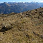 mit traumhafter Aussicht auf das Val Müstair und den Ortler geht es...