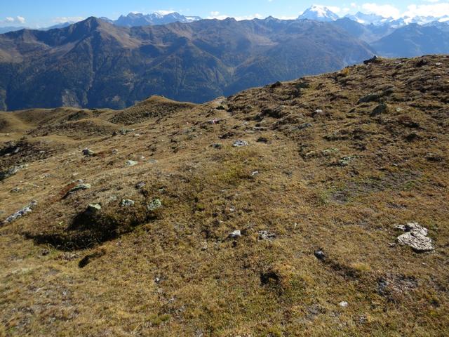 mit traumhafter Aussicht auf das Val Müstair und den Ortler geht es...