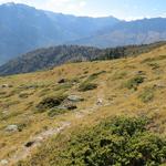 der Wanderweg verliert sich ein bisschen in den Alpweiden des Munt Terza