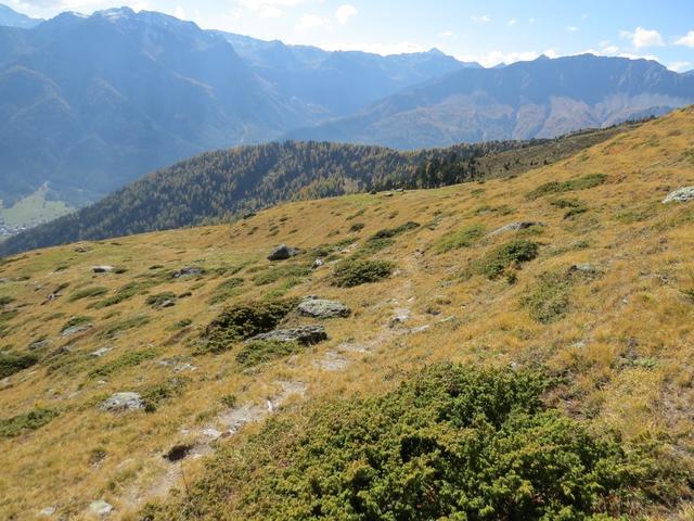 der Wanderweg verliert sich ein bisschen in den Alpweiden des Munt Terza