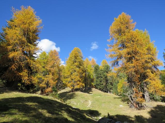 vor allem im Herbst...