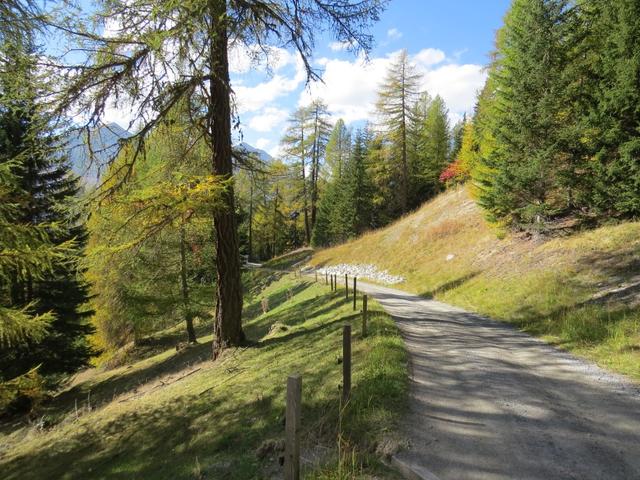 über den gleichen Weg wie am Morgen erreichen wir die Weggabelung bei Punkt 1971 m.ü.M.