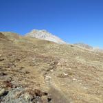 vor uns taucht die Bergspitze des Kalkberges des Piz Umbrail auf