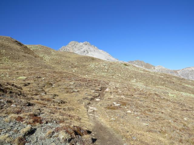 vor uns taucht die Bergspitze des Kalkberges des Piz Umbrail auf