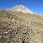 mit jedem Schritt kommen wir dem Piz Umbrail näher