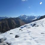 was für eine Aussicht! der Ortler, Königsspitze, Zebrù, Thurwieserspitze und Trafoier Eiswand