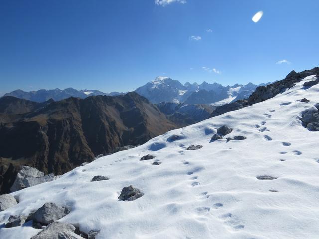 was für eine Aussicht! der Ortler, Königsspitze, Zebrù, Thurwieserspitze und Trafoier Eiswand