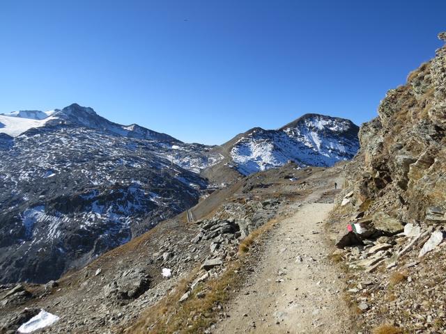 während wir auf gutem Weg zur Cima Garibaldi zurück laufen...