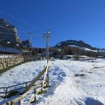 bequem schweben wir mit der neuen Gondelbahn hinauf zur Bergstation Rotenflue 1571 m.ü.M.