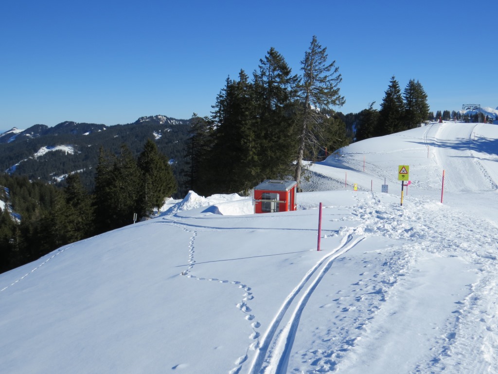 kurz nach der Bergstation biegen wir links ab Richtung Holzegg