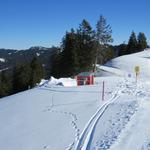 kurz nach der Bergstation biegen wir links ab Richtung Holzegg