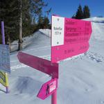 Wegweiser bei der Bergstation Rotenflue