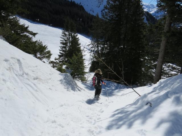 beim Berggasthaus Holzegg verlassen wir die Menschenmassen und biegen links ab...