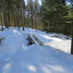 bei Punkt 1265 m.ü.M. überqueren wir über eine Holzbrücke einen Bach