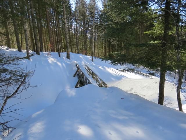 bei Punkt 1265 m.ü.M. überqueren wir über eine Holzbrücke einen Bach