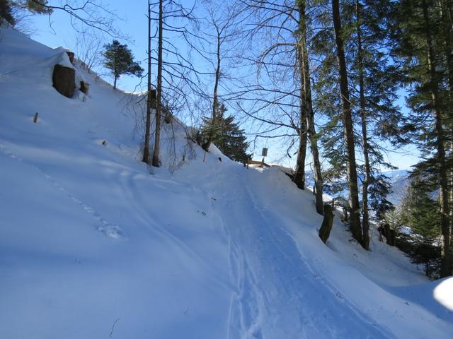 ...durchqueren nochmals einen kleinen Wald...