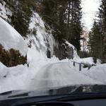 mit dem Auto sind wir über Meiringen ins Reichenbachtal gefahren