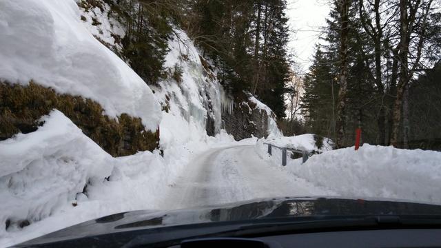 mit dem Auto sind wir über Meiringen ins Reichenbachtal gefahren