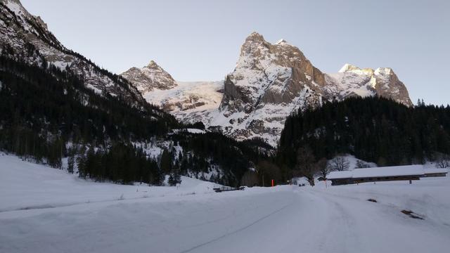 in Rosenlaui blicken wir auf das Wellhorn und Rosenlauigletscher