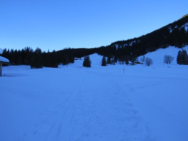 die Schwarzwaldalp liegt im Winter meist im Schatten