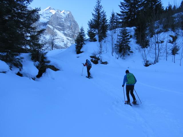 über die Schwarzwaldalp geht es fast eben Richtung Schwand