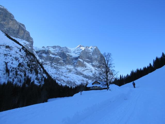 mit Blick auf das Wetterhorn erreichen wir Schwand 1520 m.ü.M.