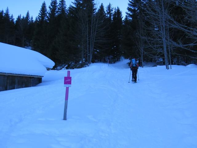 hier biegt der Trail von der Strasse oder besser von der Schlittelpiste rechts weg...