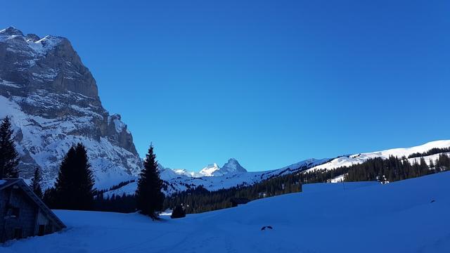 wir erreichen die Alp Bidem 1697 m.ü.M. wo uns ein grandioses Spektakel erwartet