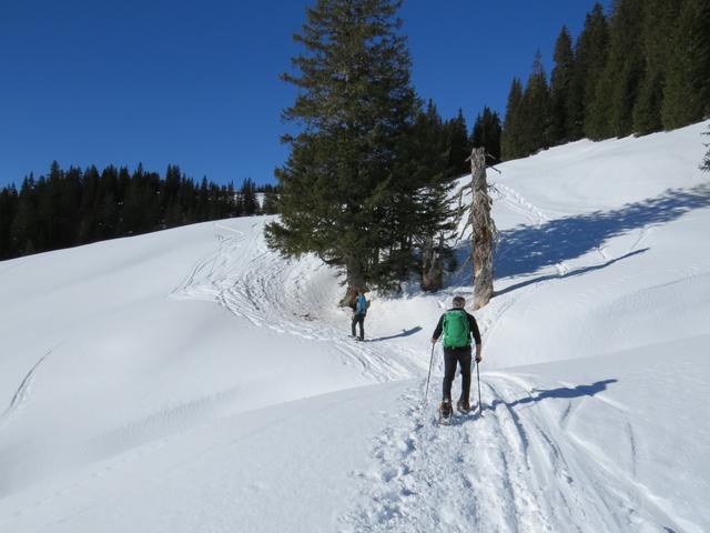 über wunderschönes Schneeschuhgelände geht es weiter aufwärts