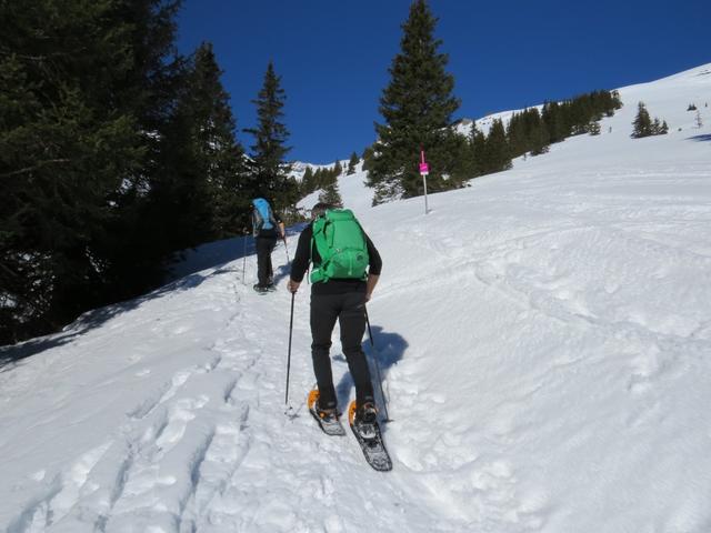 die zwei Trails (wir haben den längeren ausgwählt) sind sehr gut markiert