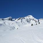 Blick Richtung Gemschberg und Schwarzhorn