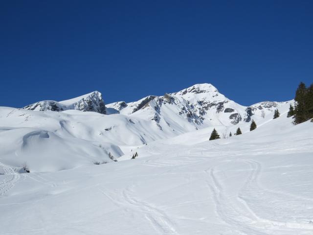 Blick Richtung Gemschberg und Schwarzhorn