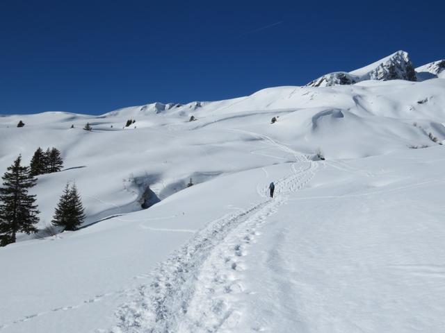 von so einer Schneeschuhtour spricht man noch lange. Auf dem Weg nach Scheidegg Oberläger