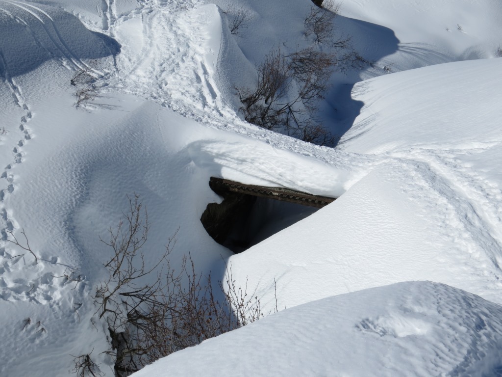 bei Punkt 1854 m.ü.M. überqueren wir über eine Brücke den Geissbach