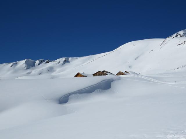 vor uns die Alpsiedlung Scheidegg Oberläger