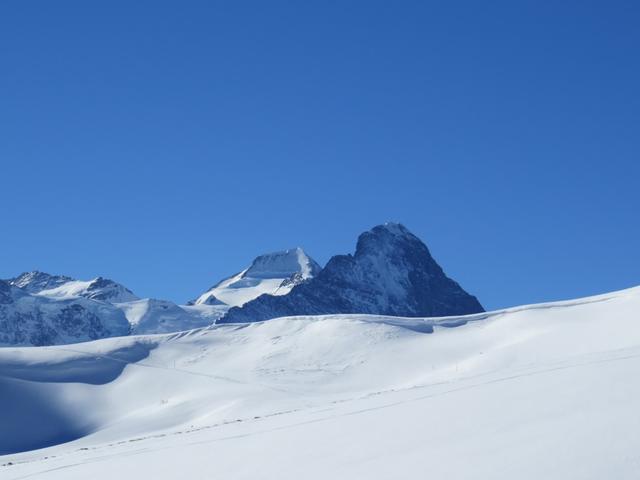 über das hügelige Gelände tauchen vor uns die Bergriesen Eiger und Mönch auf