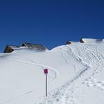 über den markierten Trail erreichen wir die Alpsiedlung Scheidegg Oberläger 1950 m.ü.M.