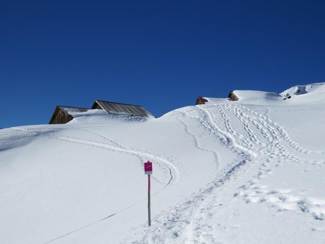 über den markierten Trail erreichen wir die Alpsiedlung Scheidegg Oberläger 1950 m.ü.M.