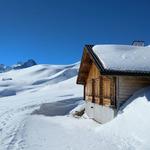 wir verlassen die schön gelegene Alpsiedlung Scheidegg Oberläger