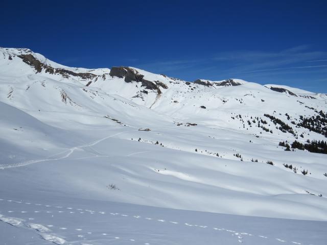 wir blicken zurück zur Alpsiedlung Scheidegg Oberläger