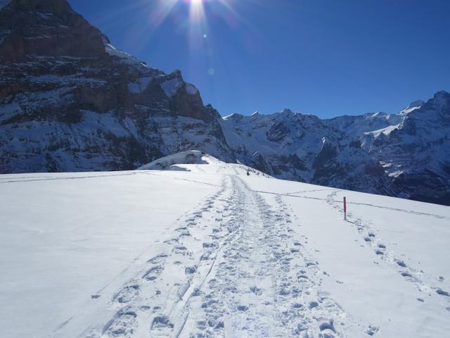 ...bis zur Krete zwischen dem Rosenlauital und dem Grindelwaldner Becken