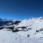 sehr schönes Breitbildfoto mit Blick Richtung Grindelwald